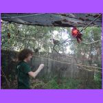 Bill Feeding Birds.jpg